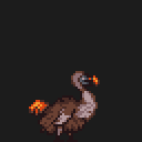 Dodo