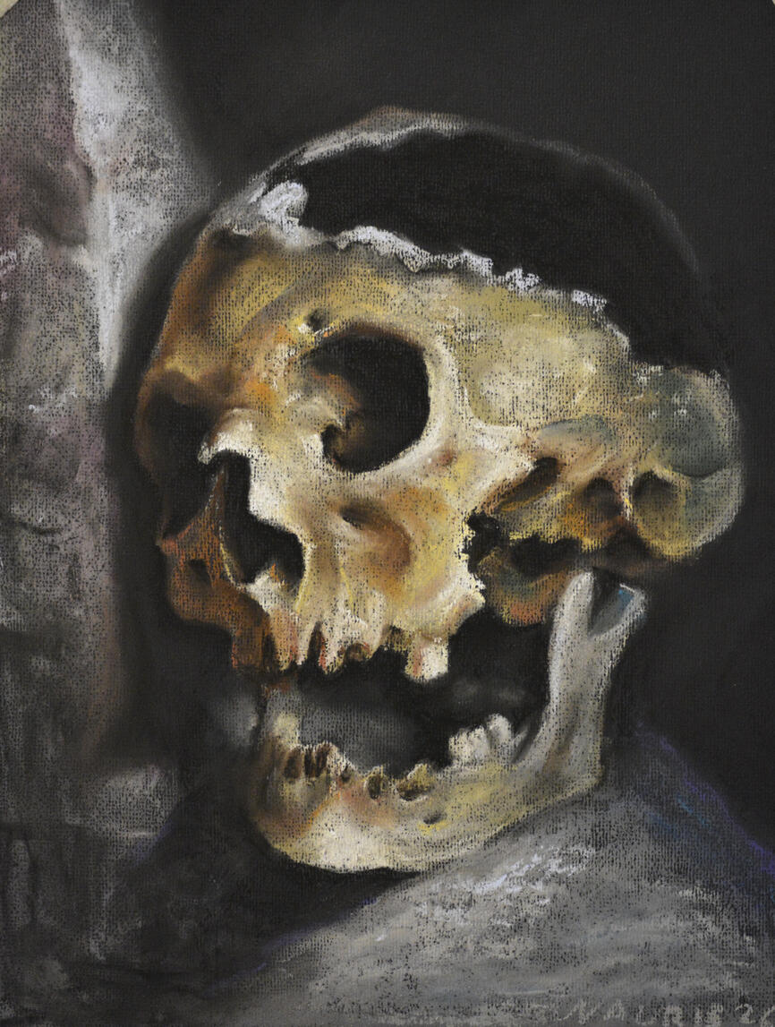 AVAILABLE, 40x30cm,Soft Pastel, 2026, Skull study