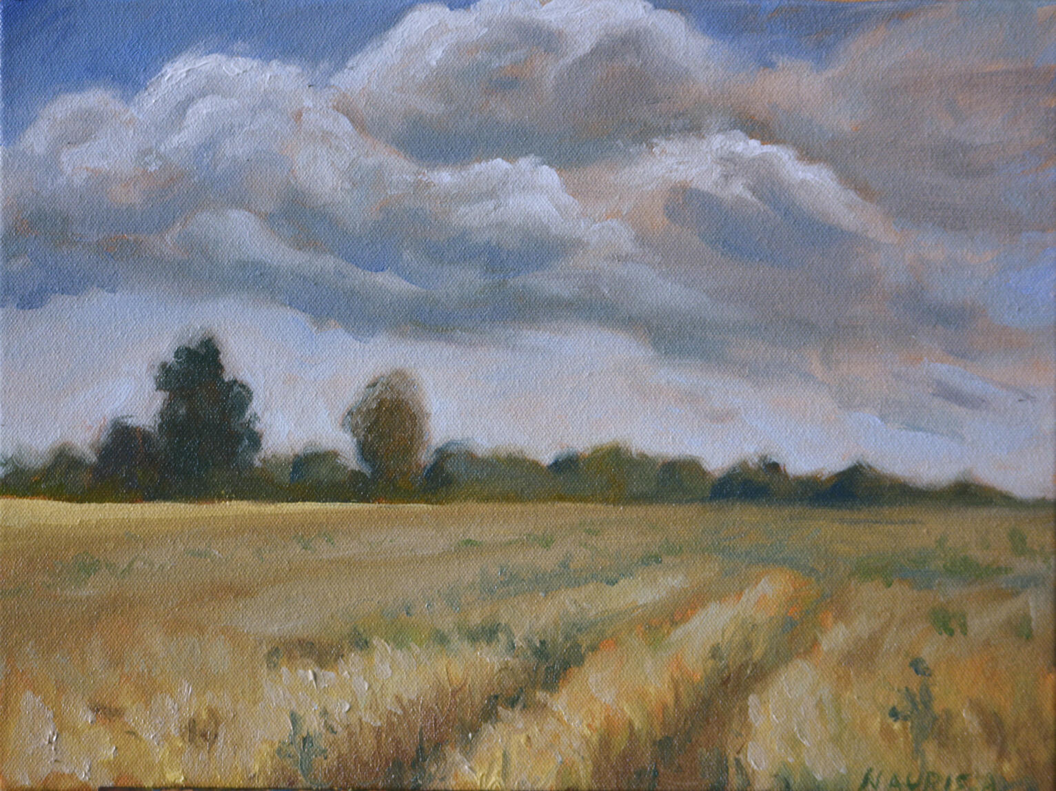 Available, 30x40cm, Oil Painting, 2026, Plein air field+