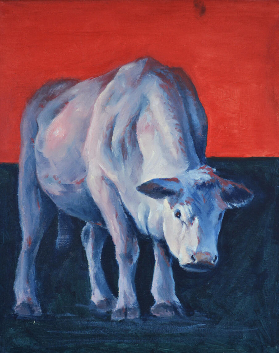 NOT AVAILABLE, 40x50cm, Oil Painting, 2025, Study of a cow