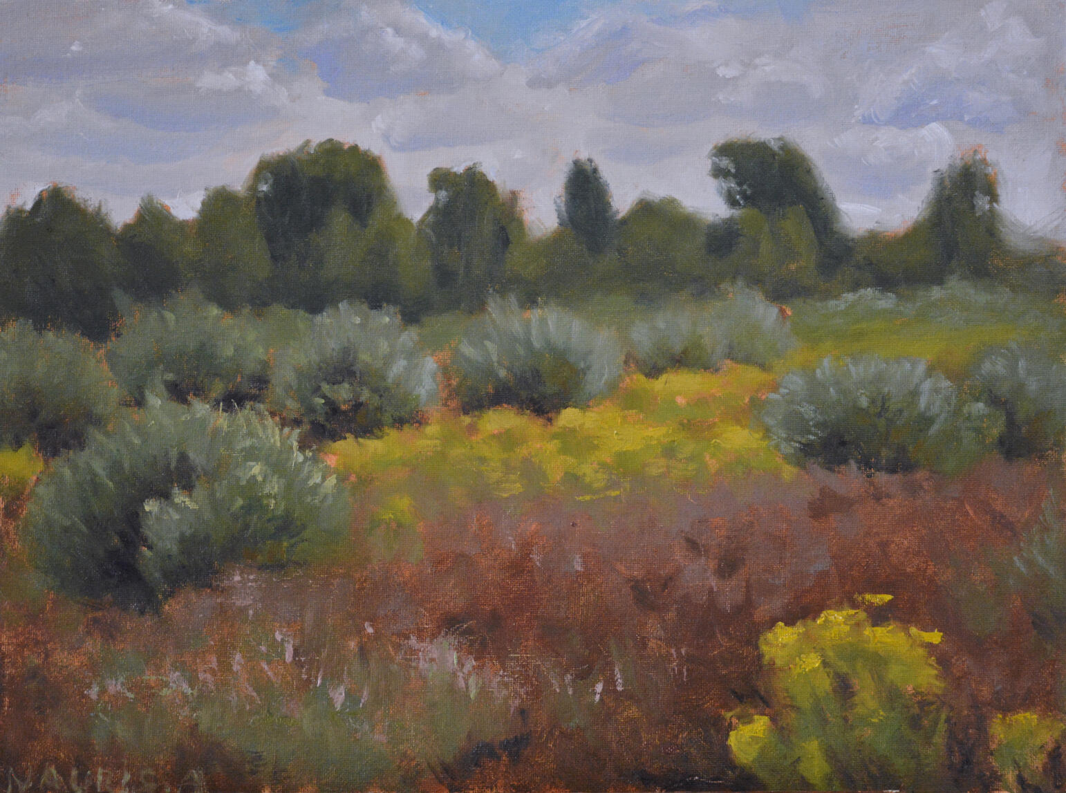 AVAILABLE, 30x40cm, Oil Painting, 2026, Plein air bushy field