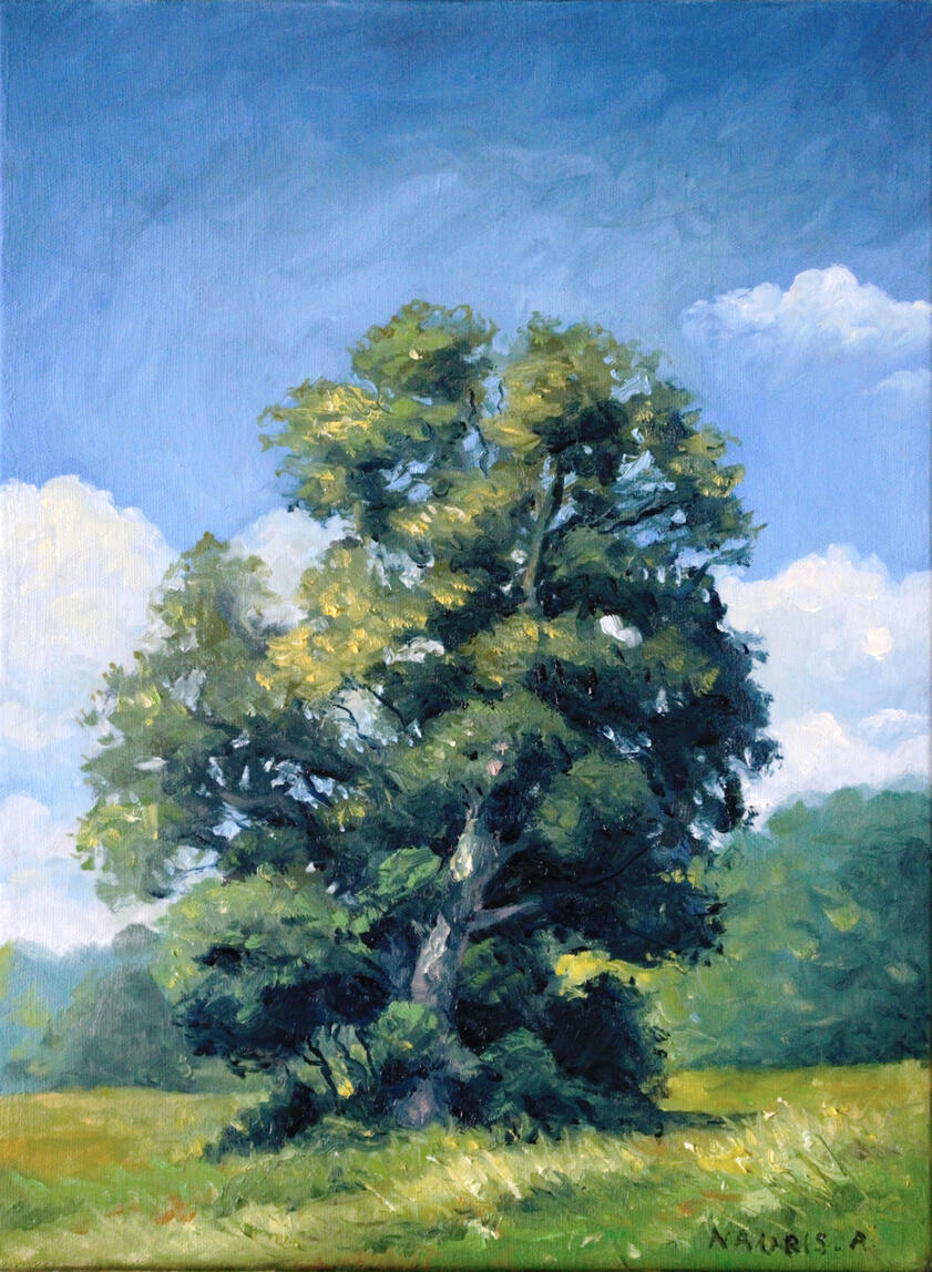NOT AVAILABLE, 30x40cm, 2025, Oil Painting, Study of a tree from picture.